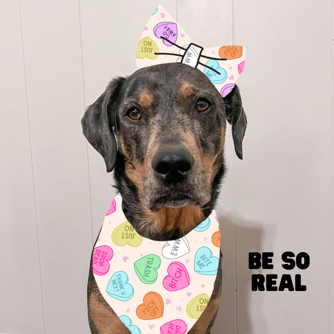 Valentines Bows & Bowties