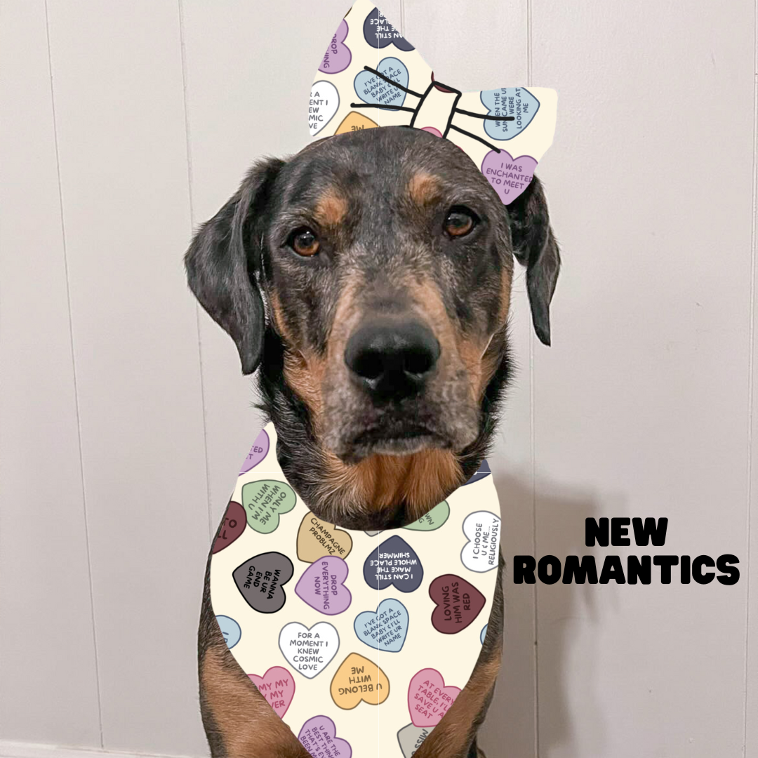Valentines Bows & Bowties