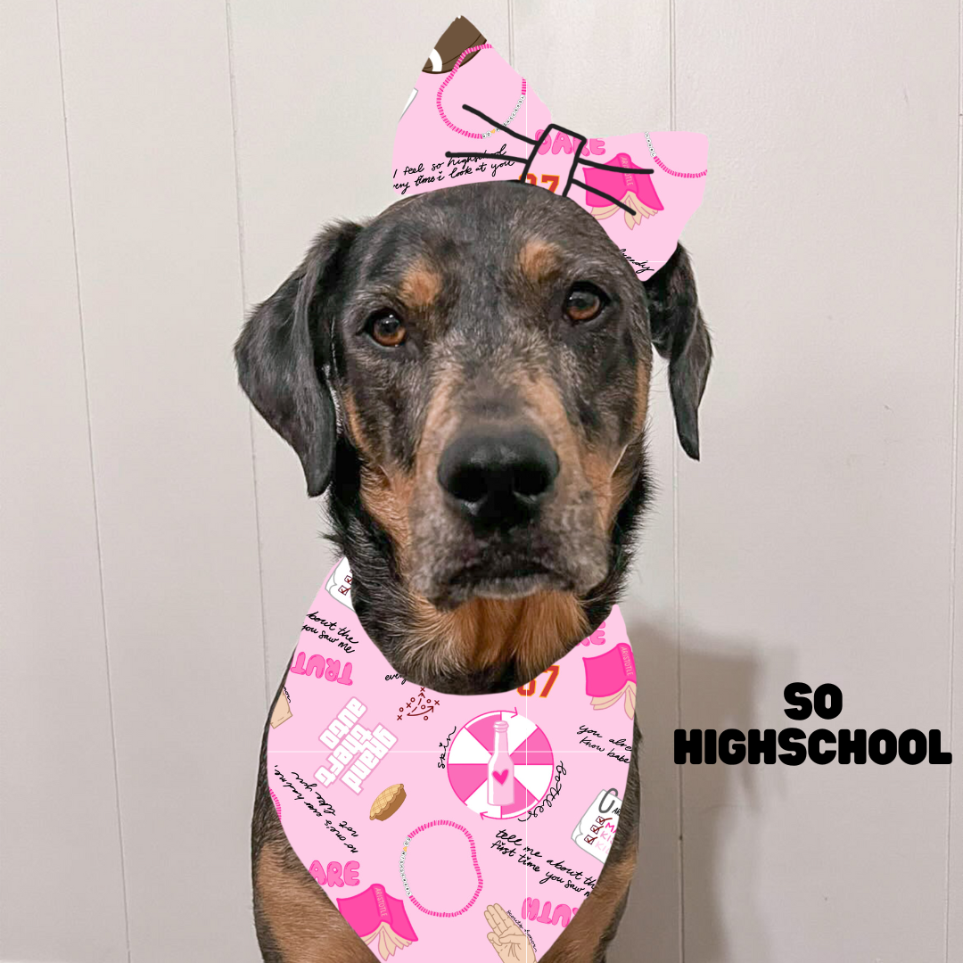 Valentines Bows & Bowties