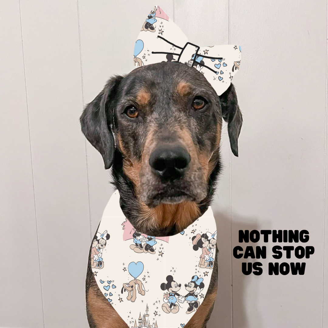 Valentines Bows & Bowties