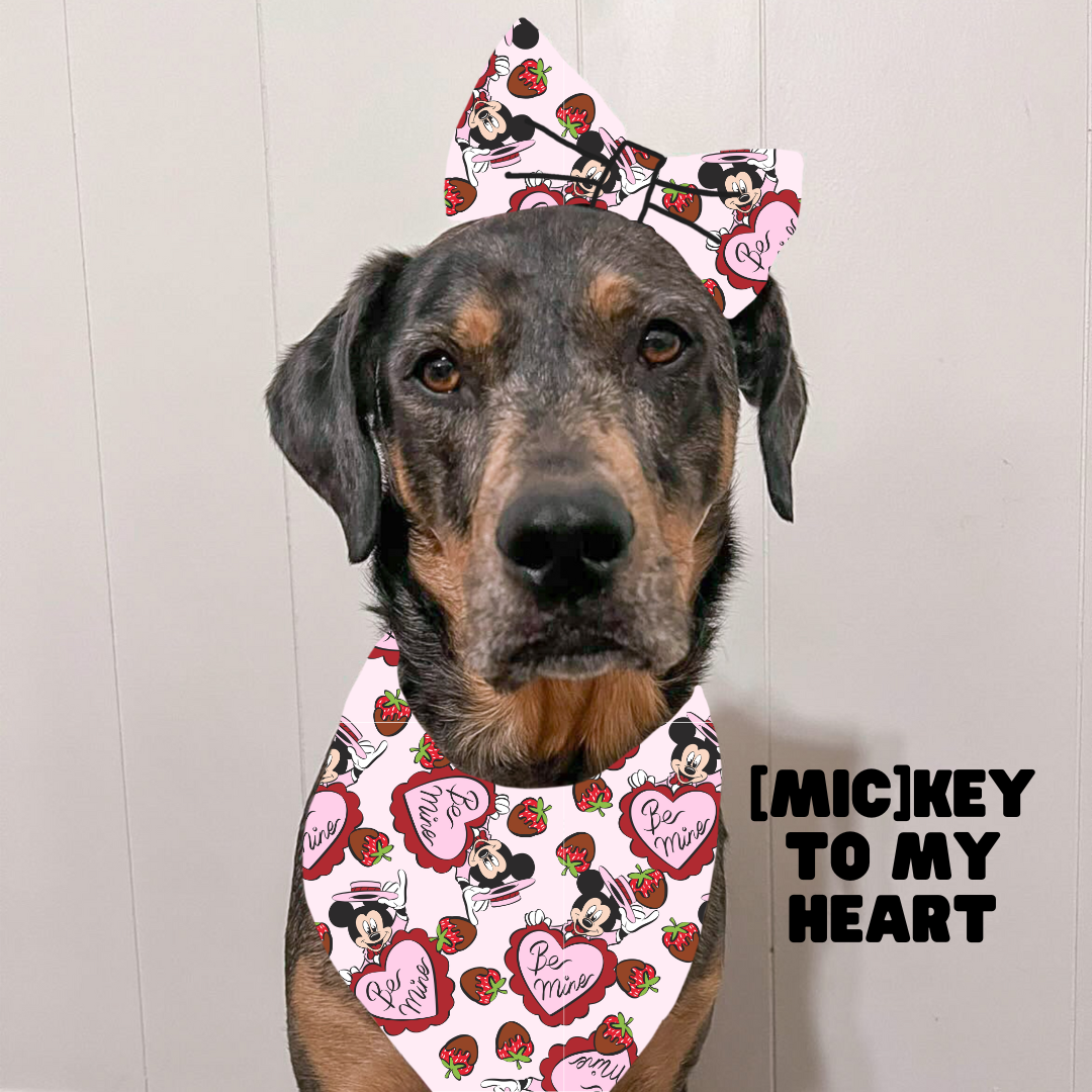 Valentines Bows & Bowties