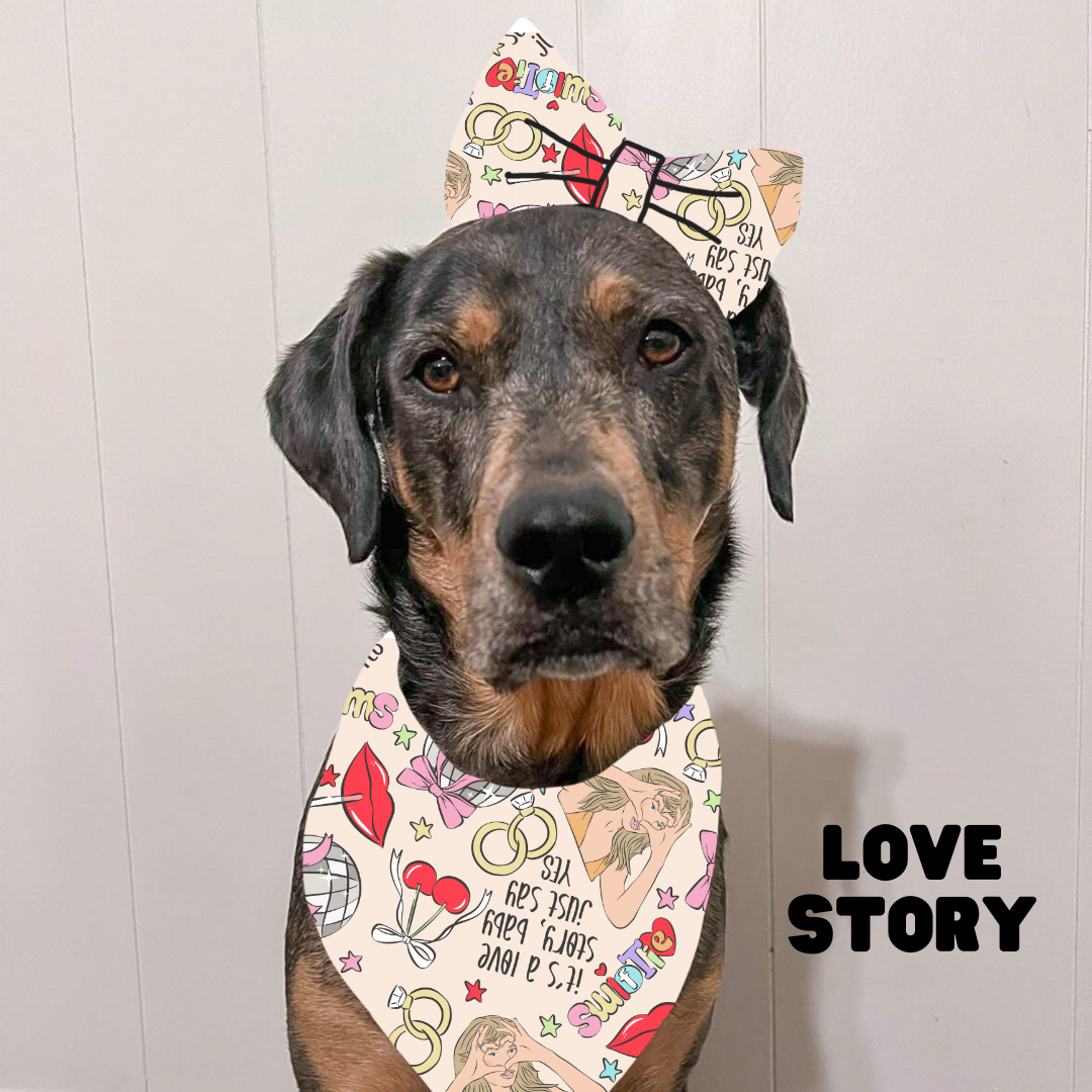 Valentines Bows & Bowties