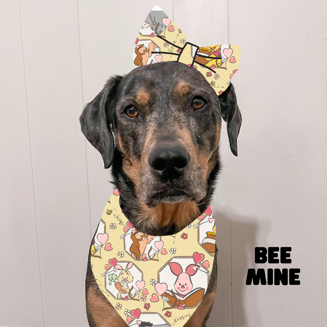 Valentines Bows & Bowties